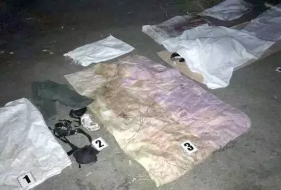 醫師發現約會女子是變性人 狂怒將對方殺害分屍衝進馬桶