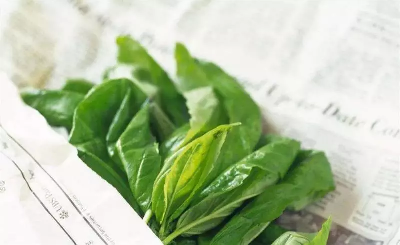 放在冰箱裡的食物總是相互串味,怎麼辦?營養師教你:超強「冰箱保存術」,再也不怕蔬菜串味,營養流失了