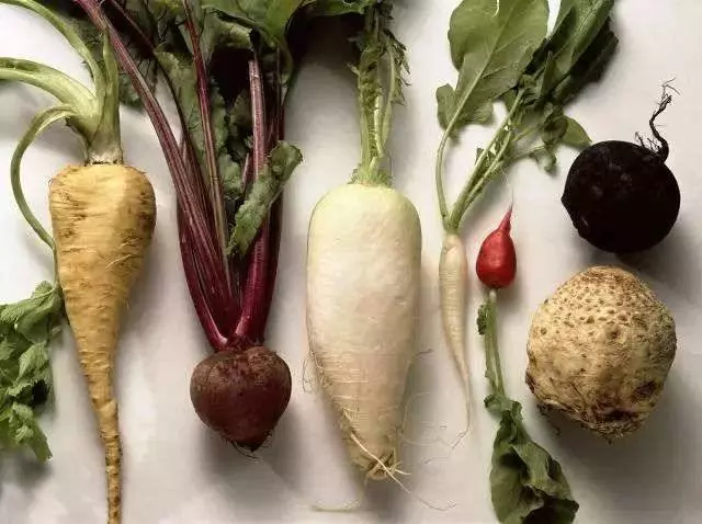 放在冰箱裡的食物總是相互串味,怎麼辦?營養師教你:超強「冰箱保存術」,再也不怕蔬菜串味,營養流失了