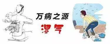 肚子大,濕氣重,老中醫教你3招祛濕減肥,排出體內毒素,大肚子平了 !