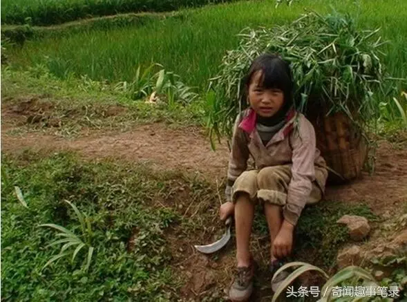 孩子剛滿月,婆婆就把傻兒媳趕出家,是人心冷漠還是道德的淪喪?