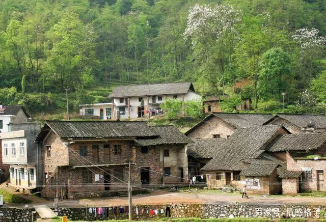 兒子結婚,去前婆家借錢,婆婆給筐臭雞蛋,半路丟棄時,愣住了