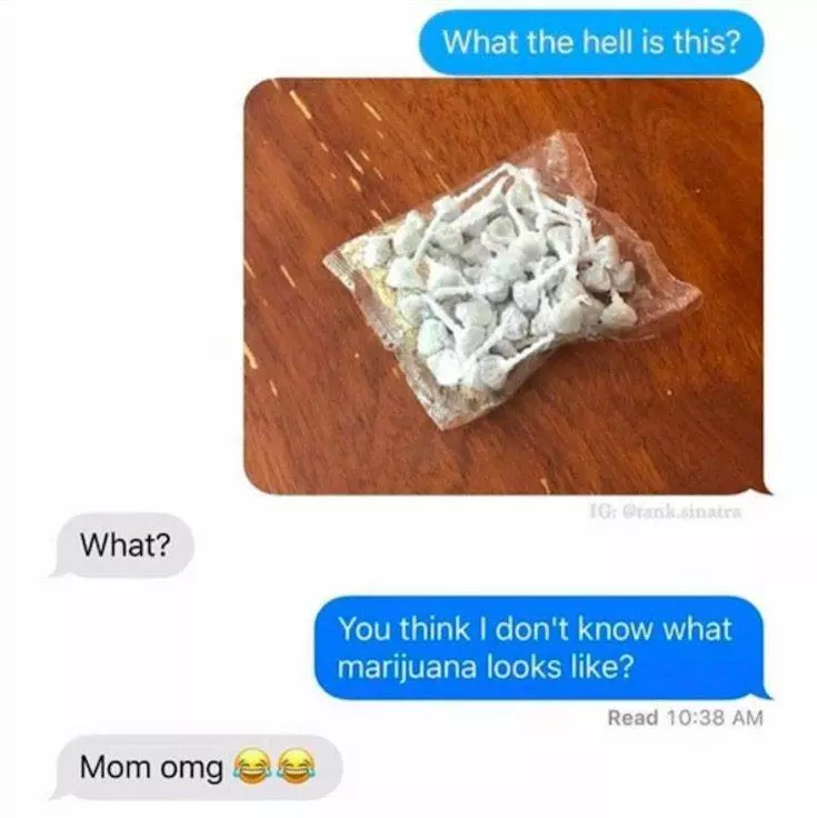 28張會讓你的心情瞬間轉好的生活趣照