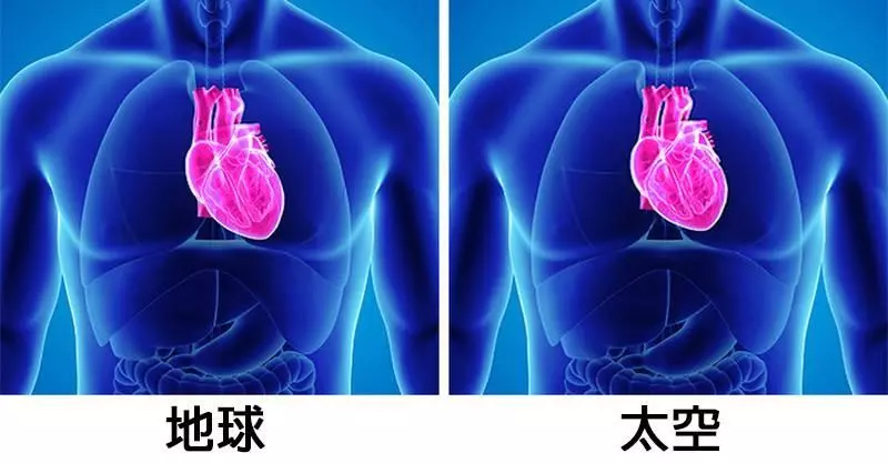8個證明「人體比宇宙還神祕」超巨大機密 每個人都有「2個大腦」