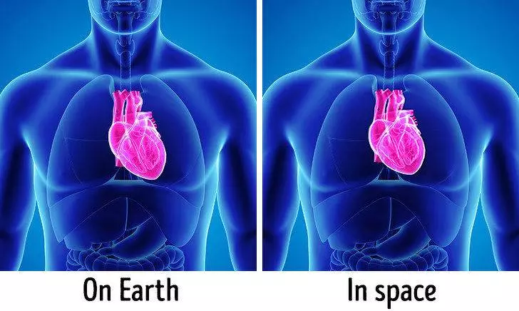 8個證明「人體比宇宙還神祕」超巨大機密 每個人都有「2個大腦」