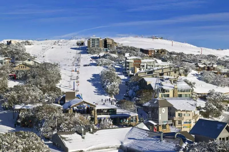 一生必去一次❗澳洲隱藏版景點Mt Buller雪山❄讓你夏天也能"任性"滑雪, 超爽??