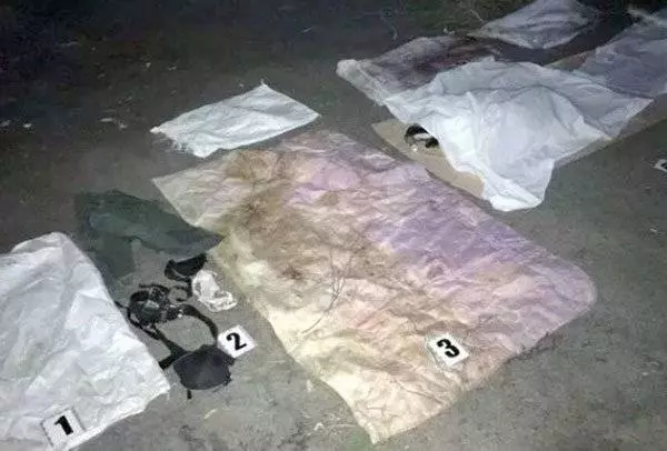發現床伴是跨性別者 醫生怒將對方肢解放烤爐