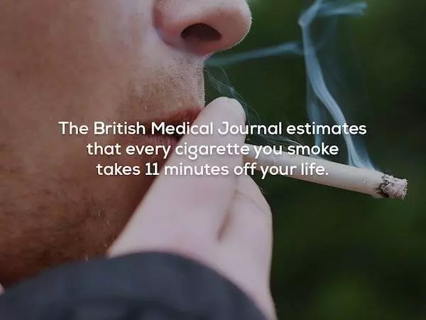 22個嚇到你叫不要不要的「非必要重要知識」