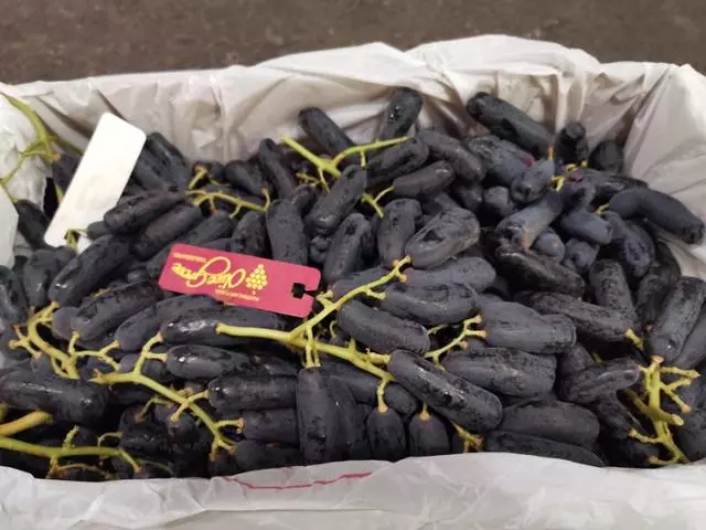 這種長相奇特的水果 , 每公斤賣到140元 !