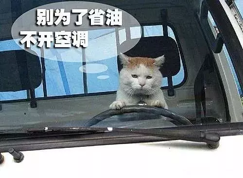 汽車開暖風導致油耗飆升?那是你不懂這幾項操作!