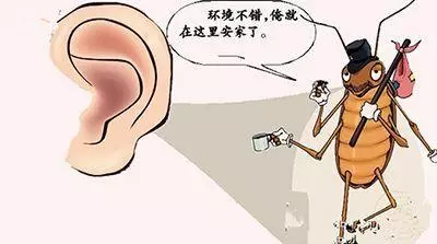 耳朵癢?隨手掏一掏?不,這個習慣你需要改!