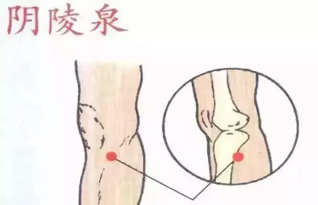 血脂高,這2個穴位就是天然降脂藥,常按按,既排毒、又防便秘!