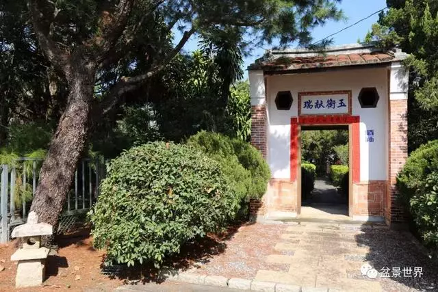 走進臺灣「黃楊王」的盆景世界,黃泗山大師盆景園「玉衡獻瑞」
