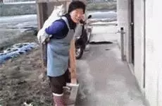 把貓送回老家,讓爺爺幫忙帶一下,回去以後就看到這幅畫面