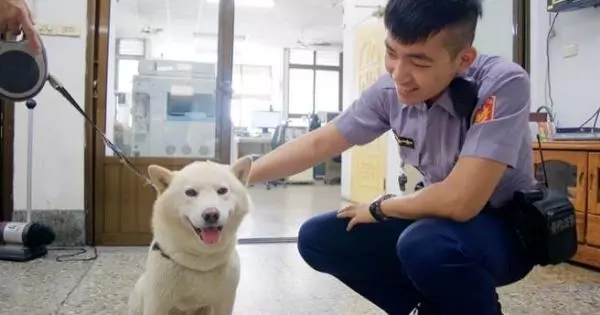 柴犬「3度離家出走」讓主人超困擾,但發現牠一直呆著的地方後連警察都哭笑不得啊!