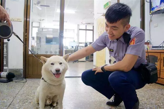 柴犬「3度離家出走」讓主人超困擾,但發現牠一直呆著的地方後連警察都哭笑不得啊!