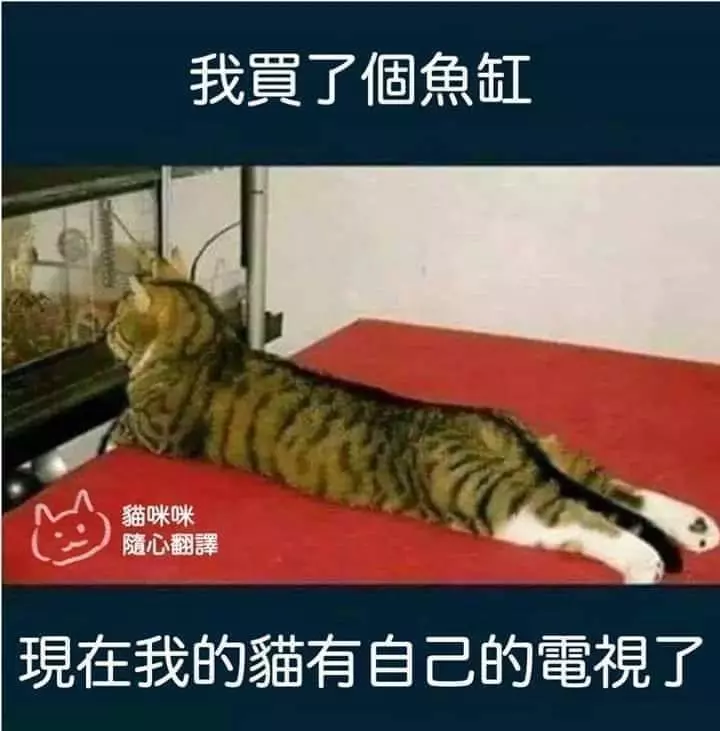 強扭的瓜不甜,為什麼還有人扭?因為不甜不要錢!