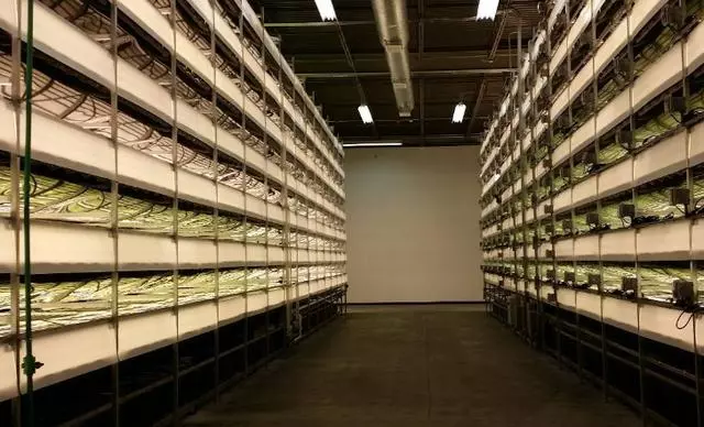 世界最「奇葩」的工廠,員工上班要穿「紙尿褲」,上廁所就會被開除!