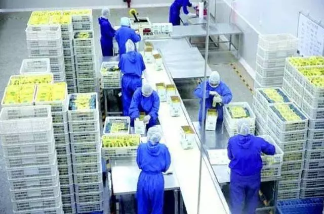 世界最「奇葩」的工廠,員工上班要穿「紙尿褲」,上廁所就會被開除!