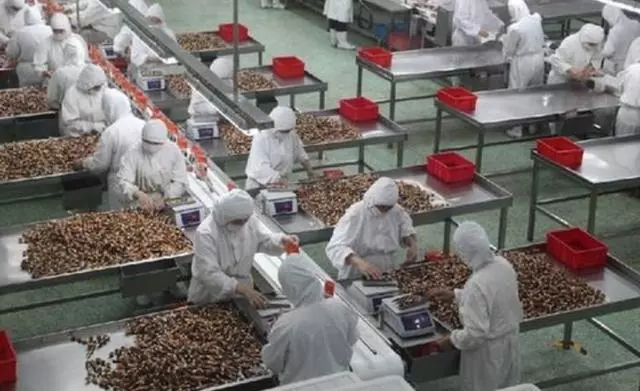 世界最「奇葩」的工廠,員工上班要穿「紙尿褲」,上廁所就會被開除!