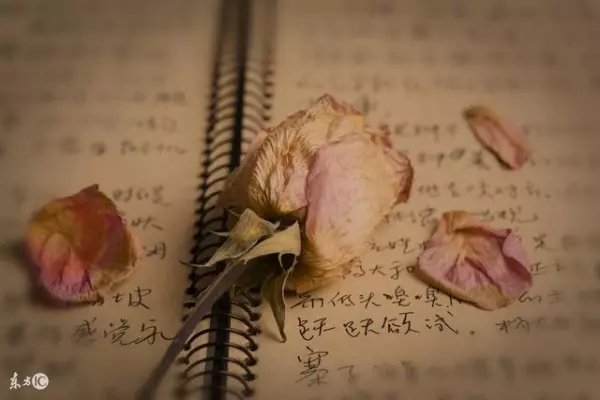 婆婆去世後一個月,公公娶了保姆!婚禮上老公放一段錄音,新娘當場瘋了!