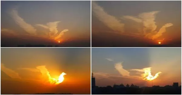 天上驚現「火鳳凰」!奇觀啊!99秒內轉出去者,全家發大財,幸福安康!就今天,萬年不遇!
