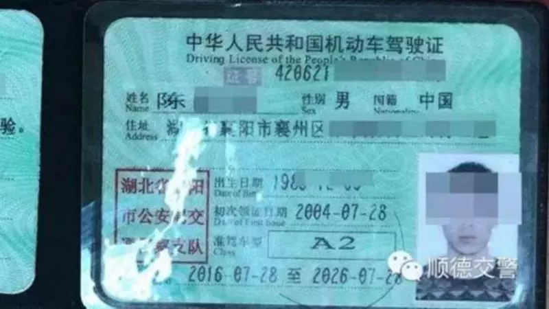 31歲媽寶男「買假駕照上路」被拘留15天 爸媽衝警局怒嗆「罰太重」:他還是孩子!