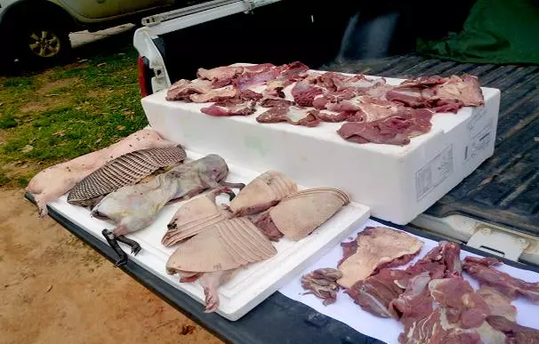 警察攔下一輛可疑「運肉車」發現大量不明肉塊,看清屍體後馬上集體衝去醫院救命了!
