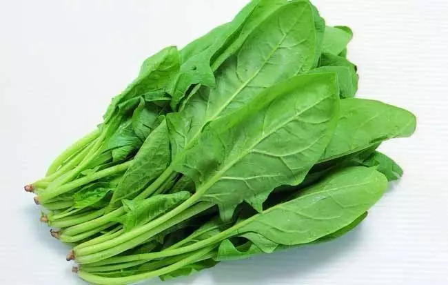 有些蔬菜吃了會變胖,有些主食吃了又會變瘦,你知道是哪些嗎