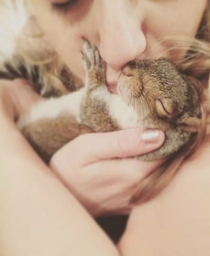 女子在野外撿到「拇指姑娘」帶回家飼養,等到牠慢慢長大後,美得讓人驚訝!