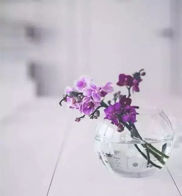 超凖!六朵花中選一朵,立馬看穿你的事業、婚姻和人生