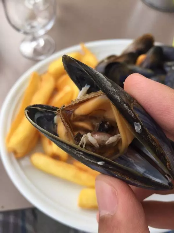 20張保證全天然沒修圖「最驚嚇到掉下巴」照片 鯊魚的肚子底部...到底是被什麼附身