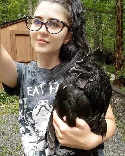 20張保證全天然沒修圖「最驚嚇到掉下巴」照片 鯊魚的肚子底部...到底是被什麼附身
