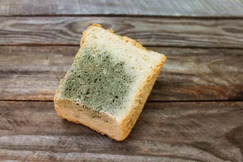 食物發霉,沒長霉的地方能吃嗎?10 個飲食禁忌要注意 !
