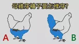 5個「智商低於100」就答不出來的燒腦猜謎 挑戰完讓你覺得女友問題根本小兒科!