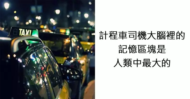 10個打破你思維的「人類大腦驚奇知識」 過度節食大腦會開始「吃它自己」!