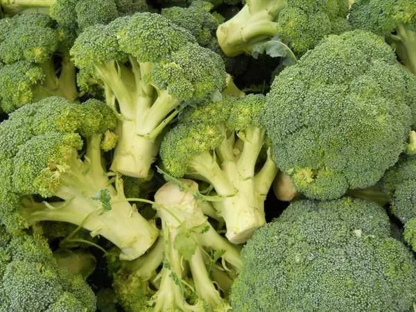 吃什麼瘦肚子最快,7種瘦身食物,幫助燃燒腹部脂肪,大肚腩不見了