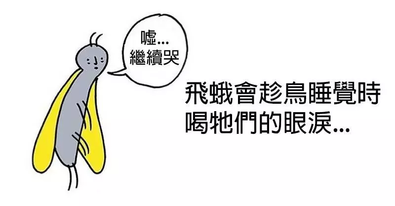 20個無人知曉的「動物傷心事」害人看著看著就滑下臉頰了...
