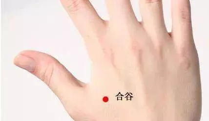 病多半是「堵」出來的?五個穴位按一按,穩定血壓除血瘀,祛濕防脫髮,身體一天比一天通暢