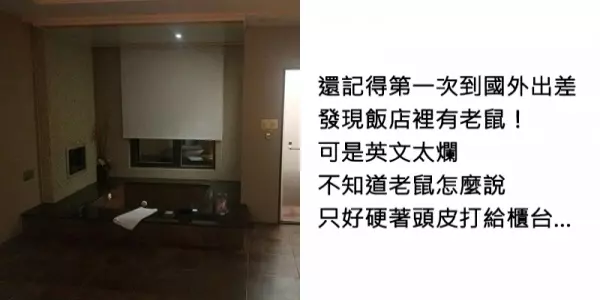 他初次出國卻發現「飯店有老鼠」嚇壞 開口「超荒謬英文」網笑翻:沒想到有這招!