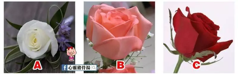 心理測試:有3朵玫瑰,你最喜歡哪朵?測你近期桃花運旺不旺