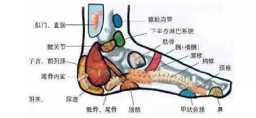 低頭摸腳,7種病在腳上有開關,輔助搞定,太實用了