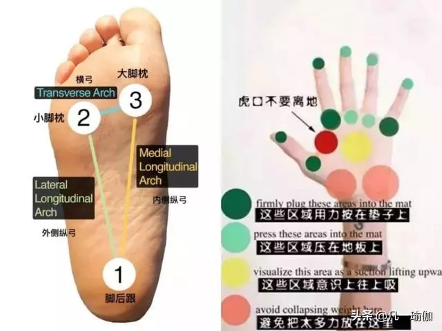 身體各主要部位關節的自我保護方法,在踏上瑜伽墊之前就應該知道