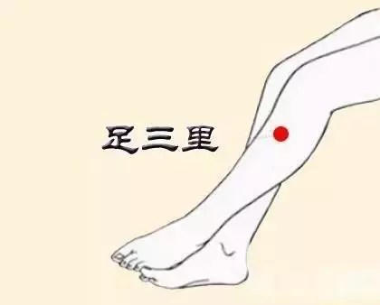 教給你改善脾胃虛寒的方法
