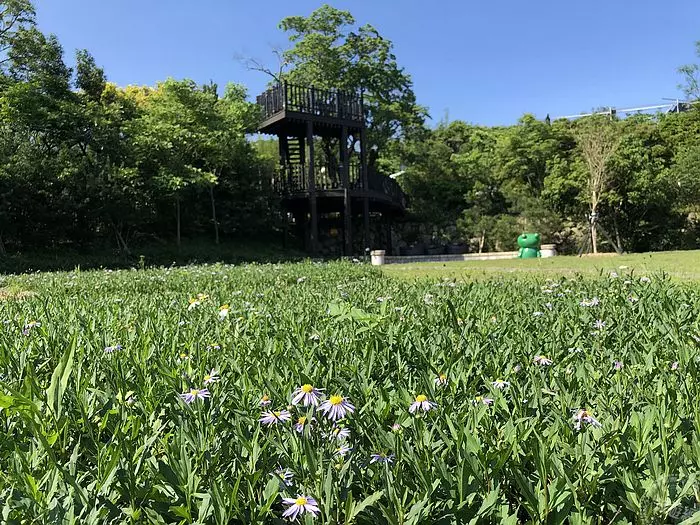 愛情花開了 不妨來感受一「夏」愛情之美