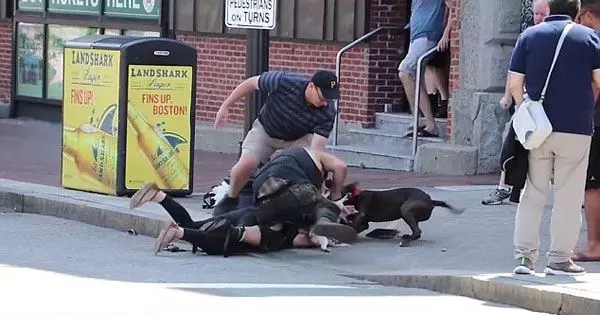 她在街上目擊比特犬發狂攻擊女子的過程,但當鏡頭一拉近才發現更可怕的畫面!