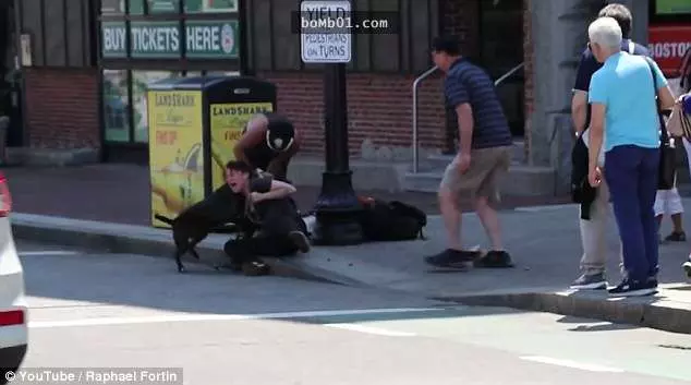 她在街上目擊比特犬發狂攻擊女子的過程,但當鏡頭一拉近才發現更可怕的畫面!