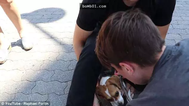 她在街上目擊比特犬發狂攻擊女子的過程,但當鏡頭一拉近才發現更可怕的畫面!