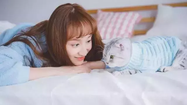 貓咪為啥不愛睡貓窩?原因有這4點,你是否都了解?