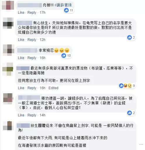 淡水龜背上刻「謝許素珠」慘死海邊!工作人員揭龜殼構造:「一筆一畫都承受巨大痛苦...」